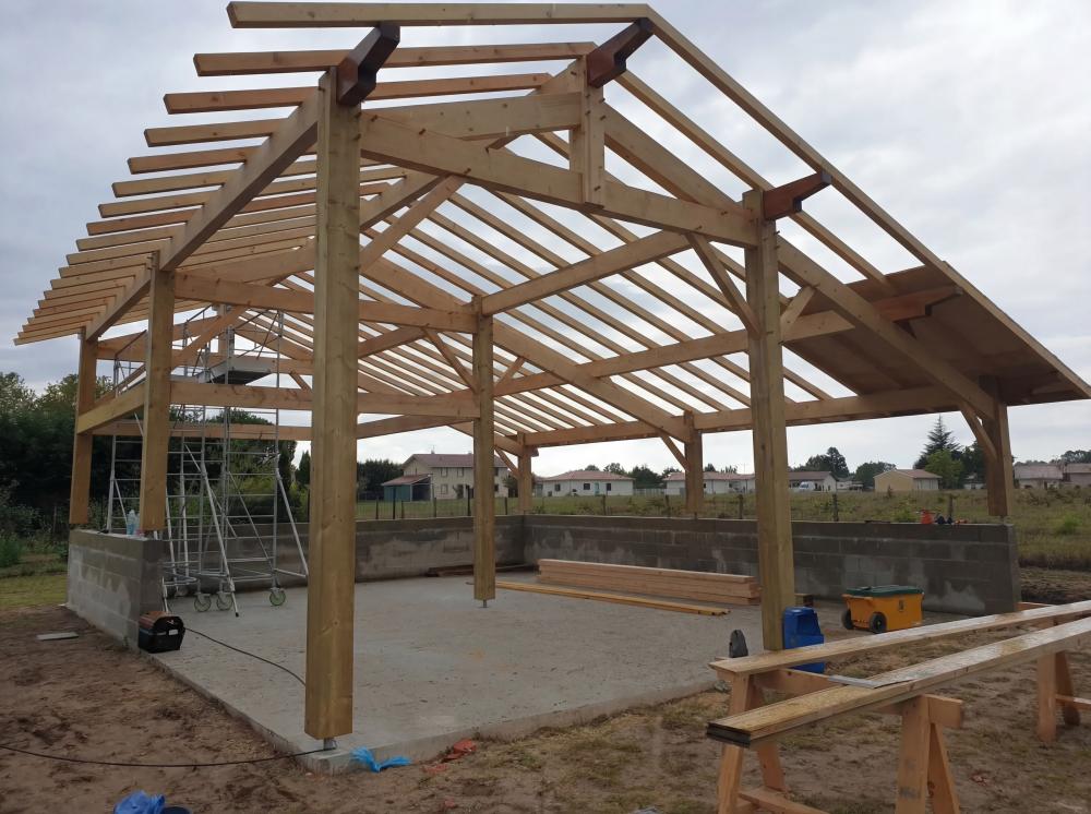 generated-image-e946ed55